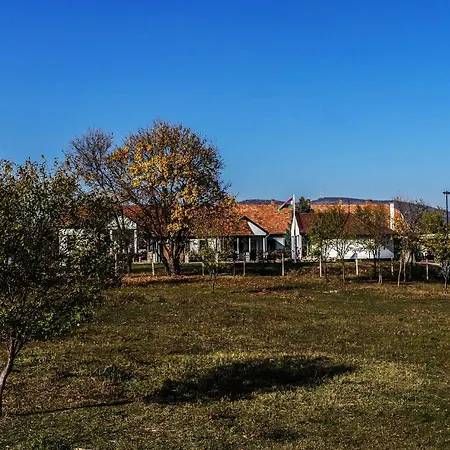 Csokas Birtok Panzio, Boraszat Es Palinkafozde